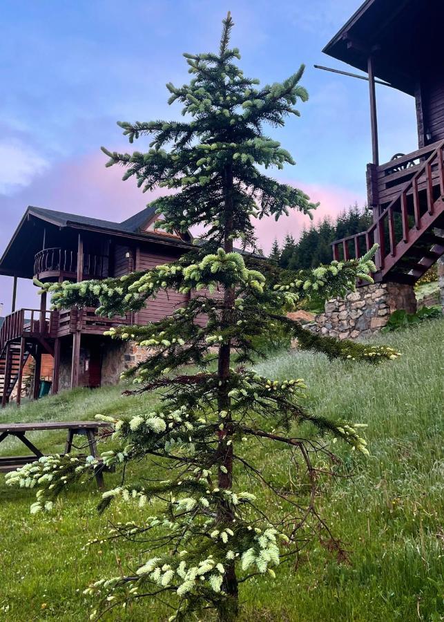 Vila Kuembet Dag Evi Exteriér fotografie